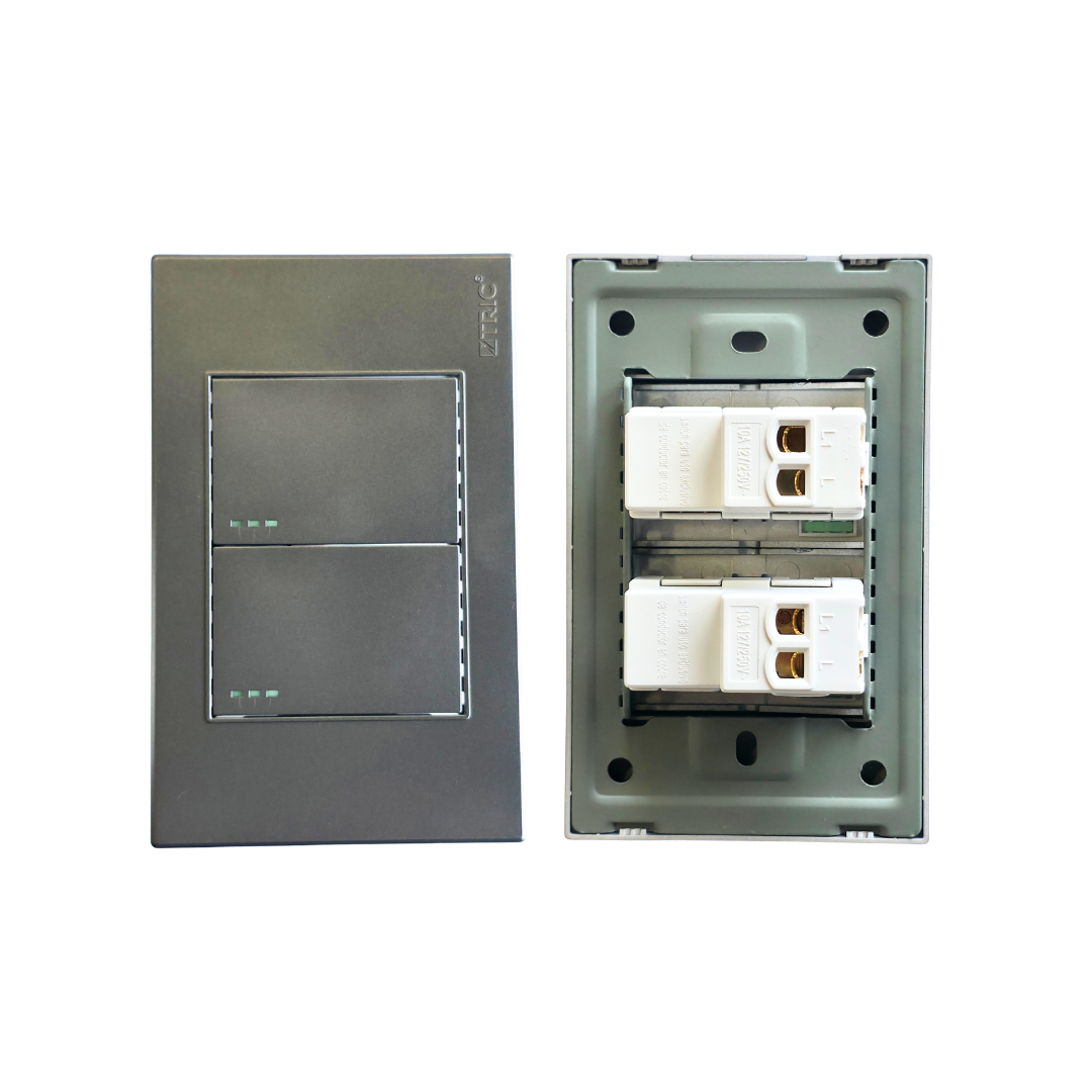 Interruptor doble estándar 127V 10AMP - Gris